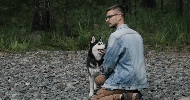 Siberische husky grappige hond in de natuur — Stockvideo