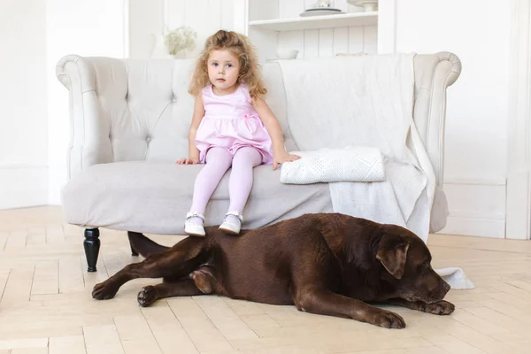 Kislány és a nagy kutya — Stock Fotó