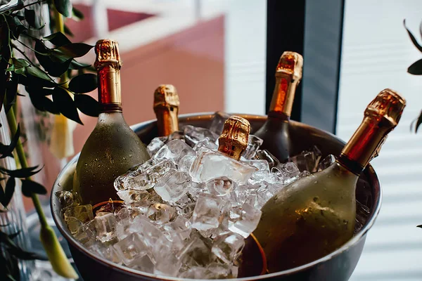 Cinco garrafas de vinho arrefecem no balde de gelo — Fotografia de Stock