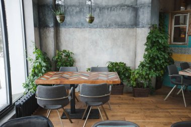 Cafe iç yeşil dekor ile
