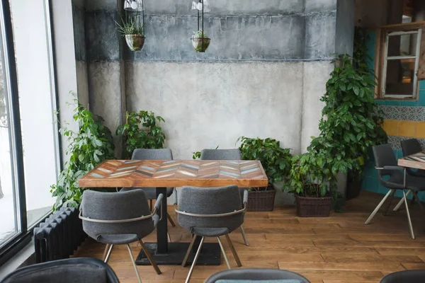 Café interior com decoração verde — Fotografia de Stock