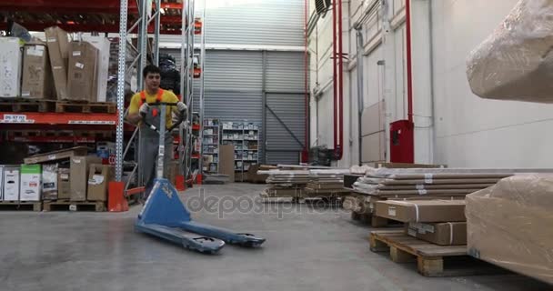 Arbetare att trycka vagnen i lager — Stockvideo