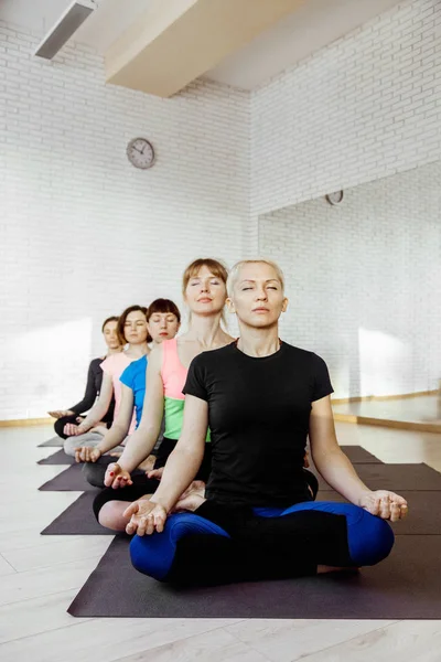 Yoga en grupo en la sala — Foto de Stock