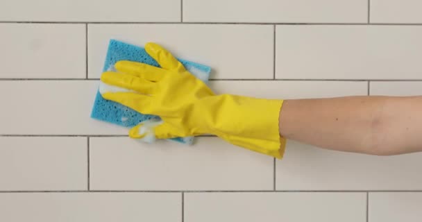 Hand cleaning tiled surface in bathroom close-up — Stock Video