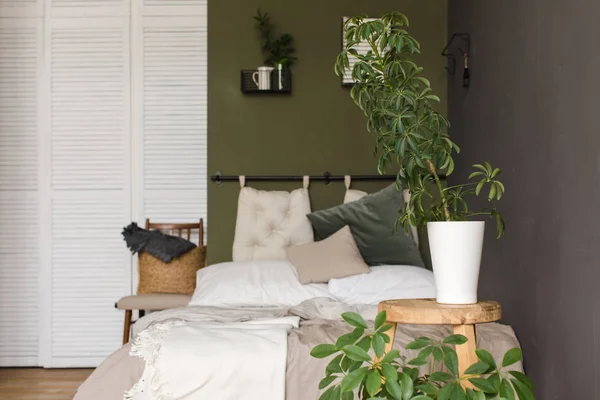 Las plantas crecen en macetas en un dormitorio taburete de madera —  Fotos de Stock