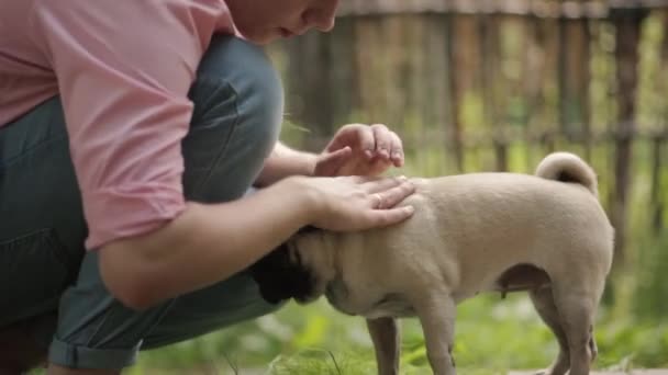 Warme Haltung Mann Hund — Stockvideo