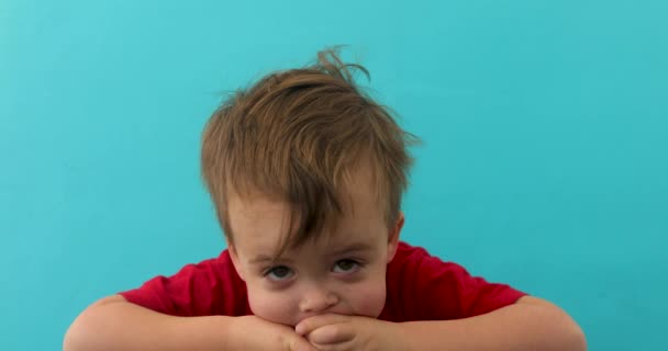 Adorable curious child leaning on hands looking at camera — Stock Video