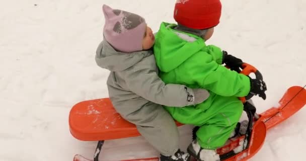 Leuke kinderen in de winter kleren paardrijden slee samen — Stockvideo