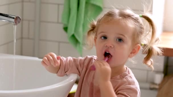 Infant girl brushing teeth in bathroom — Stok video