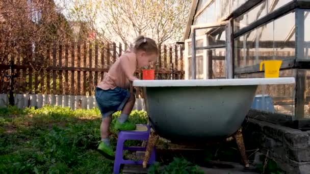 Menina pré-escolar curiosa se divertindo no quintal perto de estufa no campo — Vídeo de Stock