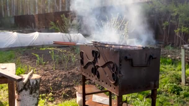 Erntehelfer grillen Fleisch auf Kohlenbecken im Garten — Stockvideo