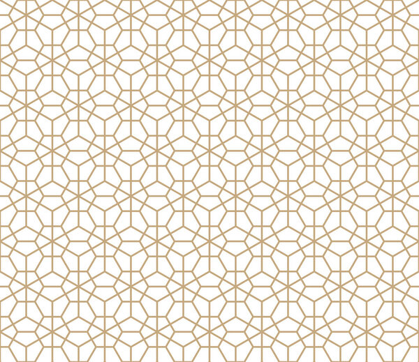 hexagon geometric line grid pattern vector background