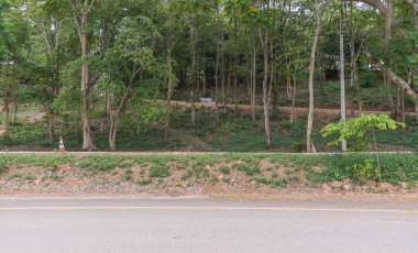 dağlarda bir orman boyunca çalışan güzel köy yolunda