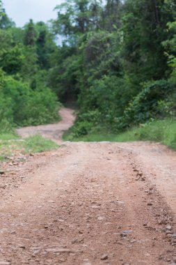dağlarda bir orman boyunca çalışan güzel köy yolunda