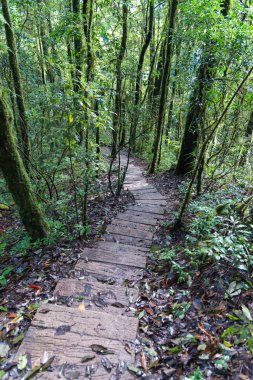 Kew Mae Pan görünümü Doi Inthanon Tabiat Parkı, Tayland