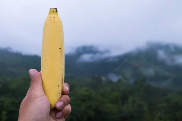 Plátano grande pelado en una mano . —  Fotos de Stock