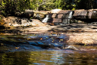 Nehirler kanallar ve ormandaki su akan dere.