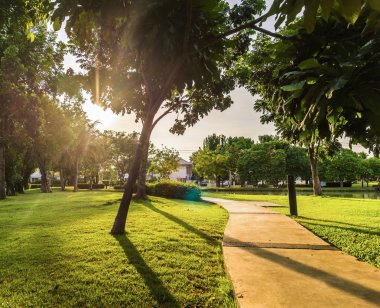 Genel villag bahçede