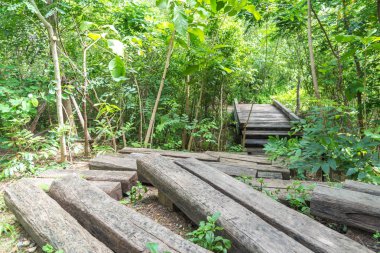 Ormana ahşap köprü