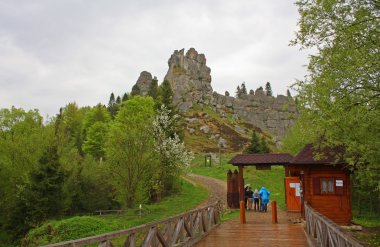 Ukrayna'da Urich köyü yakınlarında kale Tustan