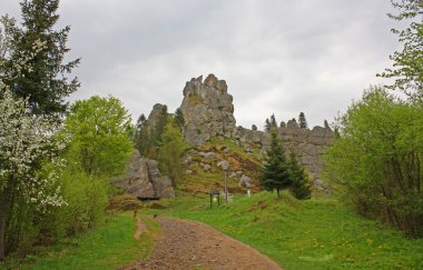 Ukrayna'da Urich köyü yakınlarında kale Tustan