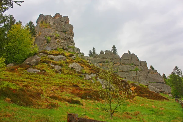 The fortress Tustan near the village Urich in Ukraine — Stock Photo, Image