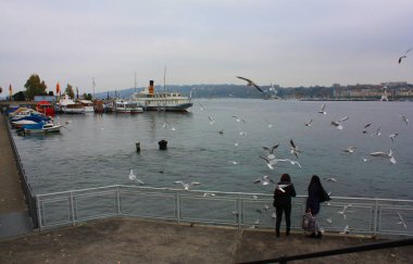 Cenevre - 15 Ekim 2016. Sonbaharda Geneva Gölü Cenevre, İsviçre