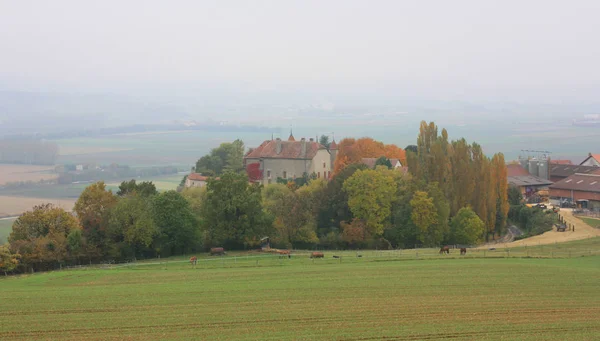 Farmy w Szwajcarii w jesieni — Zdjęcie stockowe