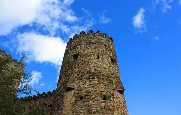 Gürcistan'daki Ananuri kalesinin Kulesi — Stok fotoğraf