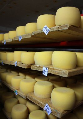 Bir peynir fabrikası beyaz peynir olgunlaşma