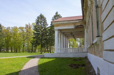 Ukrayna 'nın Samchiki köyündeki 