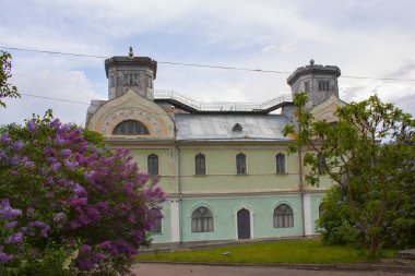 Korsun-Shevchenkivsky tarihi ve kültürel rezerv (Palace of Lopukhins-Demidovs), Ukrayna
