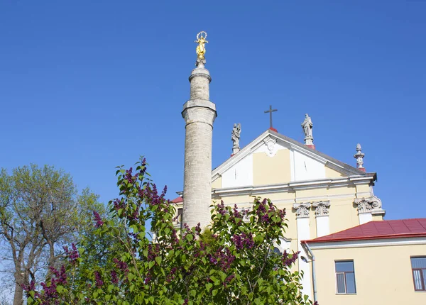 Собор Петра і Павла в Кам'янець Подільський, Україна — стокове фото