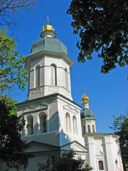 Cupole Della Chiesa Ilyinsky Chernigov Ucraina — Foto Stock