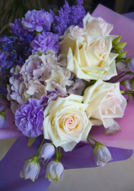 Beyaz gül closeup pembe backgroung üzerinde