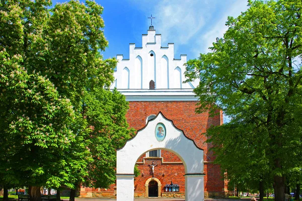 Kirche St. Bartholomäus in Drogobytsch, Ukraine — Stockfoto