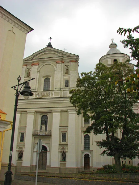 Katholieke kathedraal van St. Petrus en Paulus in Lutsk, Oekraïne — Stockfoto