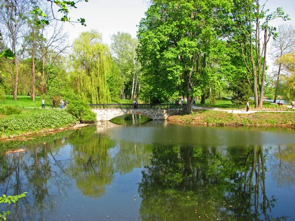 Jezero s brige v Arboretu v parku Alexandrie, Belaya Tserkov, Ukrajina — Stock fotografie