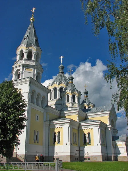 Kathedrale der Verklärung in Zhitomir, Ukraine — Stockfoto