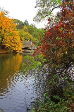 Görünüm Ulusal dendroloji Park 