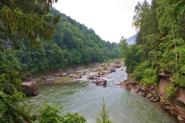Dağ nehir Prut Yaremche, Ukrayna