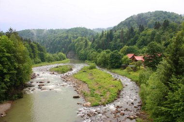 Dağ nehir Prut Yaremche, Ukrayna