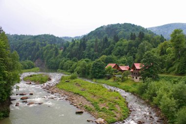 Dağ nehir Prut Yaremche, Ukrayna