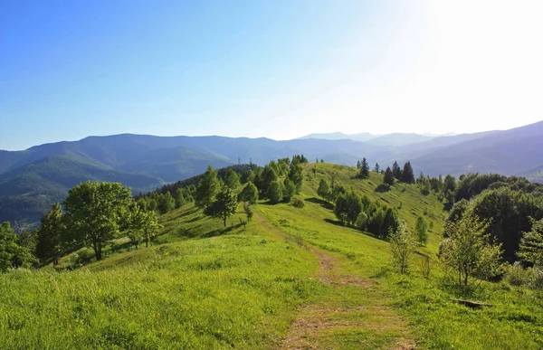 Panorama hor z Mount Makovitsa v Jaremče, Ukrajina — Stock fotografie