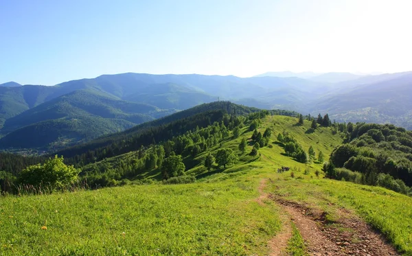 Panorama de montañas del Monte Makovitsa en Yaremche, Ucrania — Foto de stock gratis