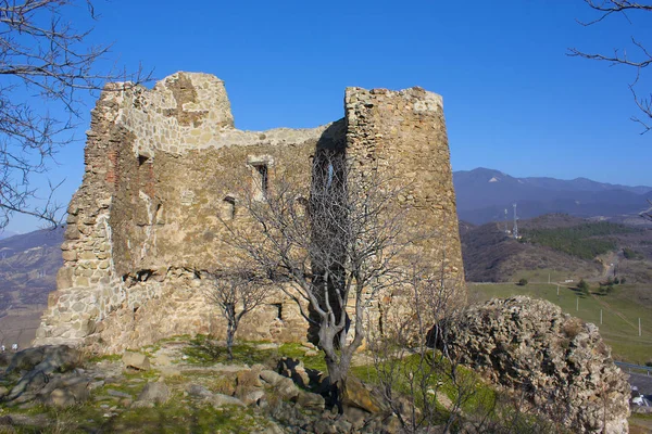 Torre Arruinada Perto Mosteiro Jvari Geórgia — Fotografia de Stock