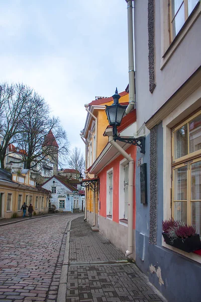 Tallinn Estonia Gennaio 2018 Romantica Storica Strada Del Centro Storico — Foto Stock