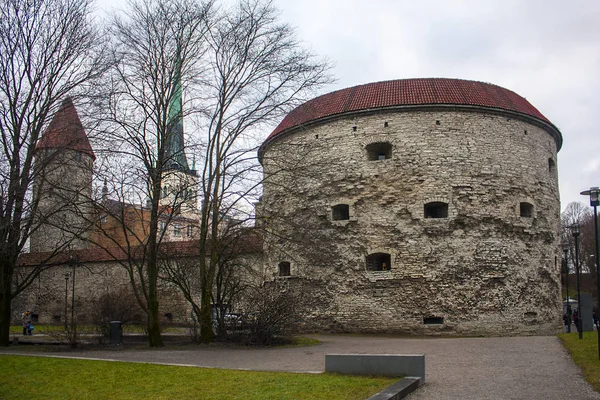 爱沙尼亚 2018年1月3日 古老的大炮塔 肥胖玛加丽 在老镇塔林 爱沙尼亚 — 图库照片