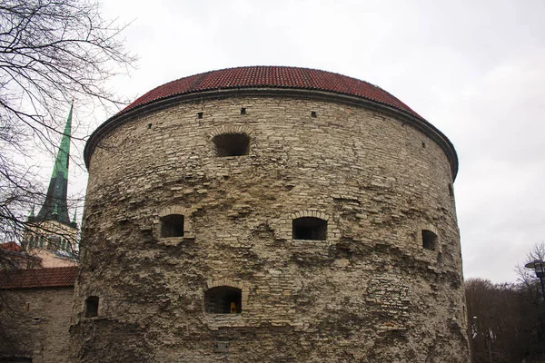 Ancient Cannon Tower Fat Margaret Old Town Tallinn Estonia — стоковое фото