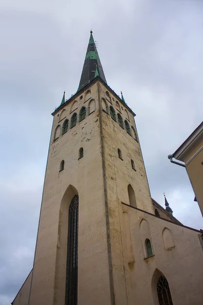Templom Szent Olaf Tallinn Észtország — Stock Fotó